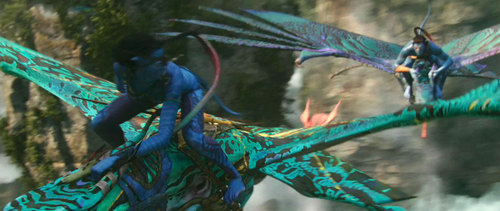 Avatar Flying Dragons