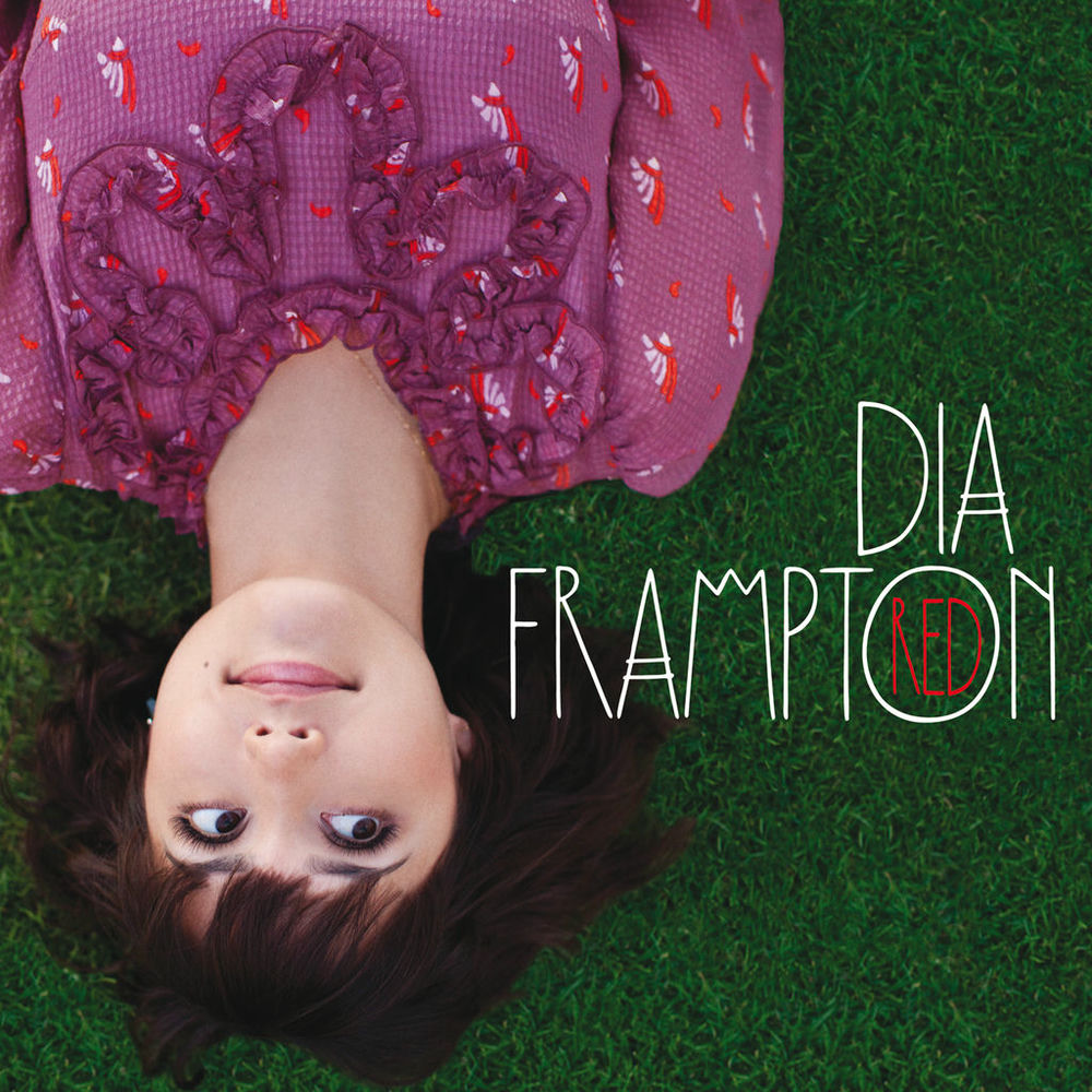 Daniel by Dia Frampton — cover