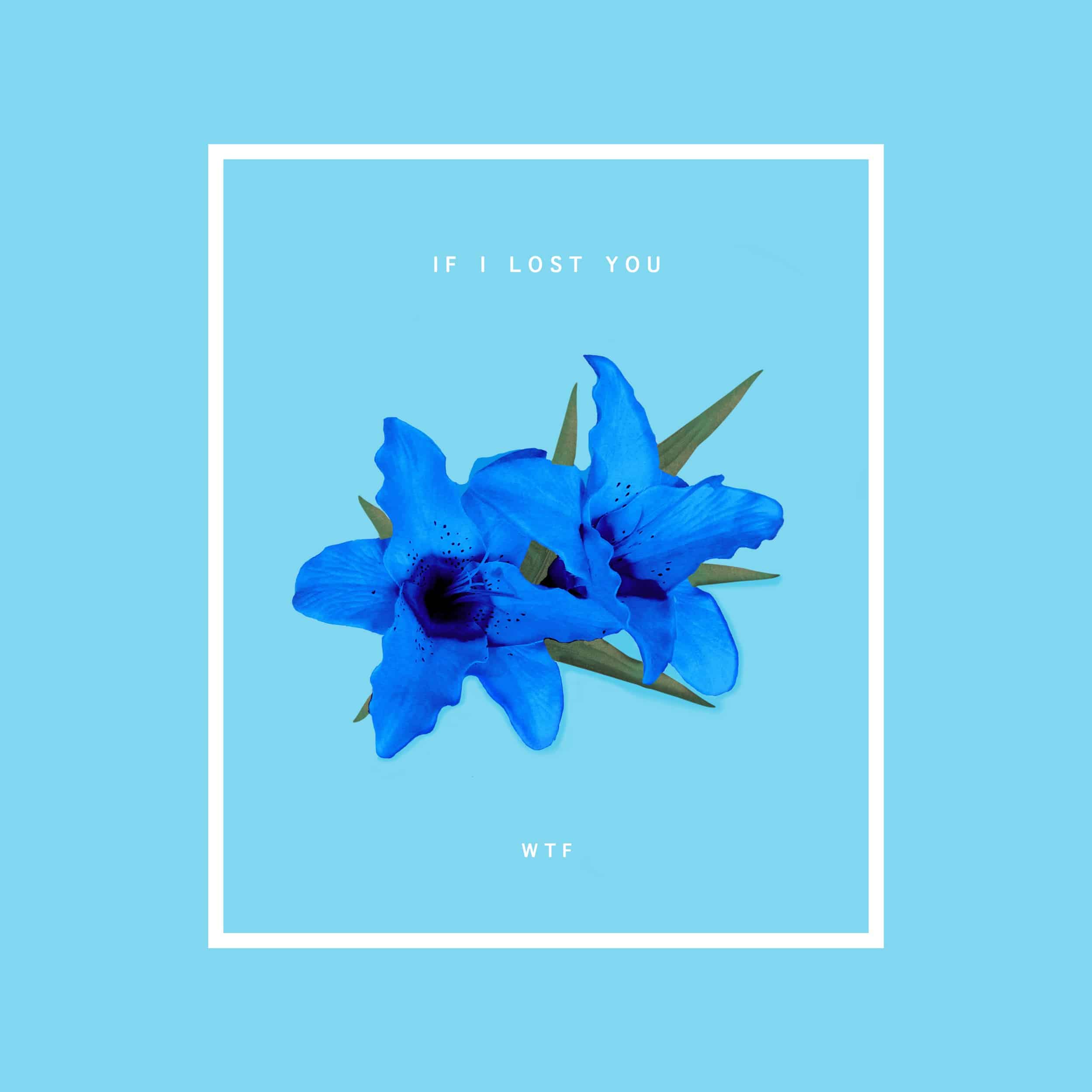 If I Lost You