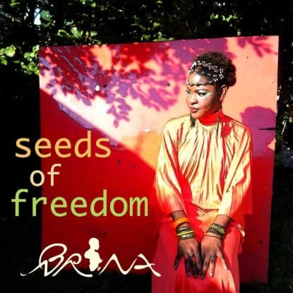 Seeds of Freedom by Brina mixed by Jon Rezin