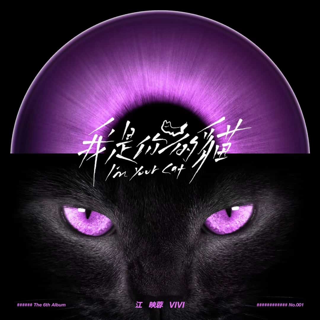I'm Your Cat